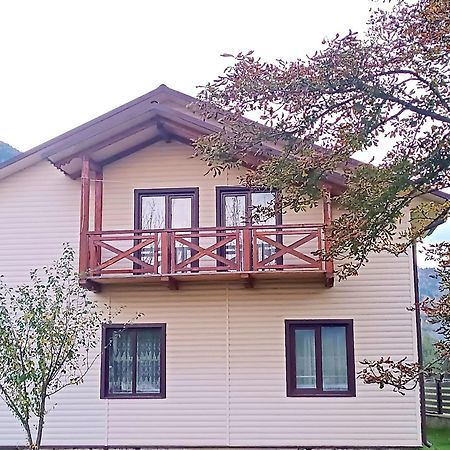 Apartmán Гірська Роса Verkhniy Yasenov Exteriér fotografie