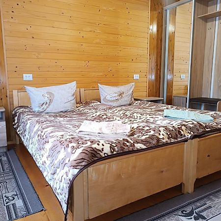 Apartmán Гірська Роса Verkhniy Yasenov Exteriér fotografie